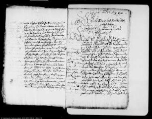 Die von Gottfried von Bissing bestrittene Jagdberechtigung im sogenannten Jungfernbusche im Amt Zörbig