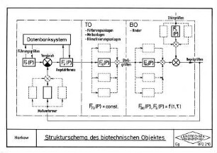 Strukturschema des biotechnischen Objektes