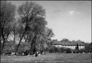 Marienwerder, Klosterwiese