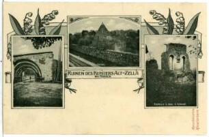 Altzella. Ruinen de Klosters. Eingangstor, Schüttgebäude-Giebel und Kapelle