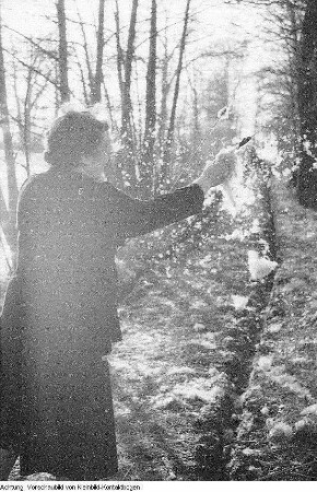 Rösa-Brösa (Kreis Bitterfeld), Landschaften, 1957