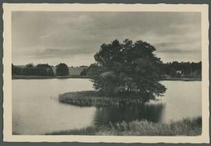 Fotografie eines kleinen Sees mit Insel