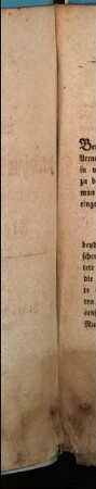 Ueber die gereinigte Methaphysik der Algebra