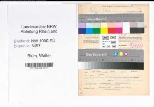 Entnazifizierung Walter Blum, geb. 11.07.1902 (Handlungsreisender)