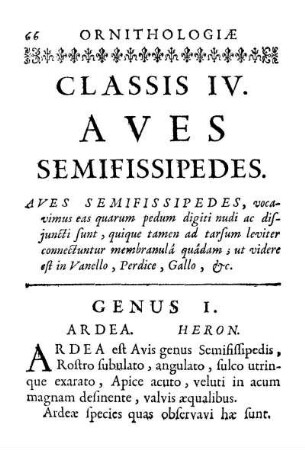 Classis IV. Aves Semifissipedes
