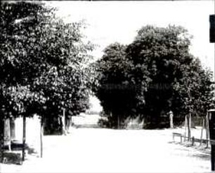 Friedhofseingang in Hammerstein
