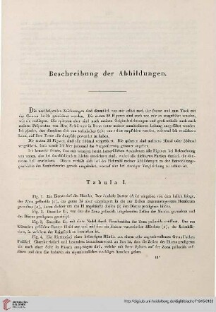Beschreibung der Abbildungen