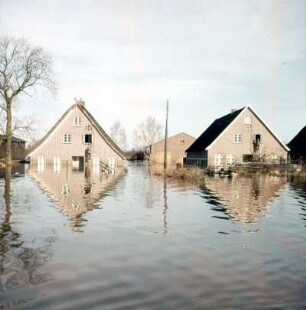 Sturmflut Hamburg 1962. Überflutete Wohnhäuser