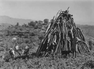 Holzstapel : Mann vor einem Holzstapel