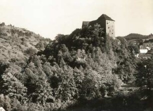 Bečov nad Teplou (früher Petschau). Burg