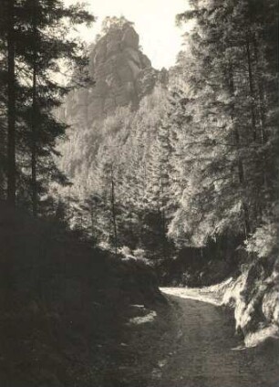 Elbsandsteingebirge. Großer Zschand. Jortanshorn in den Weberschlüchten