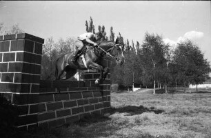 Reitsport.