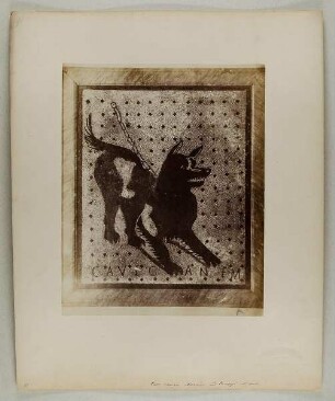 7508. Cave Canem - Mosaik aus Pompeji