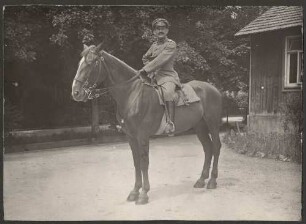 Andrassy, Wilhelm