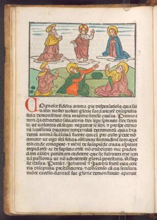 Verklärung Christi, Med. 14