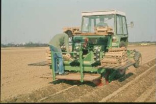 Fotografie: Pflanztechnik, Kartoffel, Kartoffellegemaschine, Befüllung