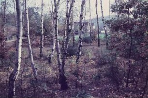 Thüringen. Landschaft bei Eisenach