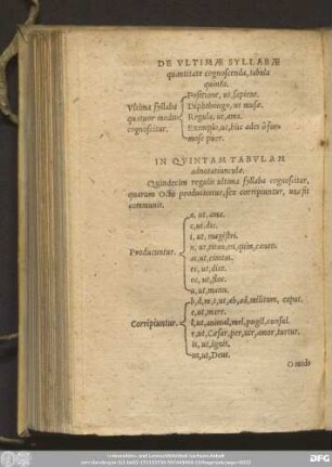 De Ultimae Syllabae quantitate cognoscenda, tabula quinta.