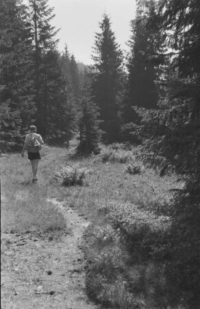 Portrait : Portrait eines Wanderers.