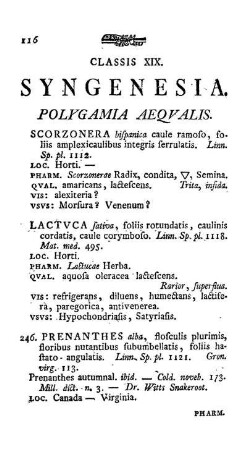 Polygamia Aequalis