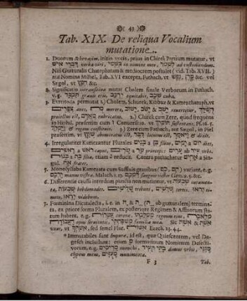 Tab. XIX. De reliqua Vocalium mutatione