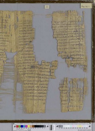 Canticum Canticorum 2,2-17