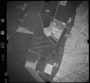 Luftbild: Film 11 Bildnr. 76