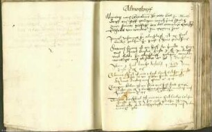 Lehnbuch des Jungfrauen-Klosters Beuditz