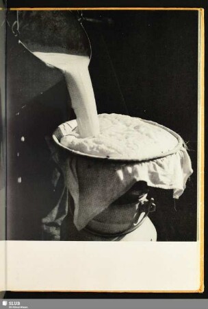 [Milchverarbeitung]