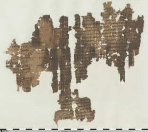 Anubion, Carmen astrologicum elegiacum