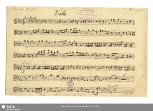 Viola [transp.]