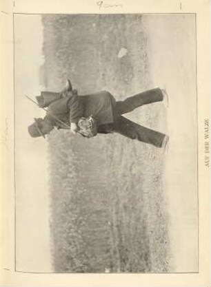 Auf der Walze