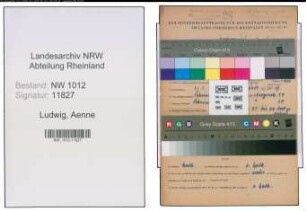 Entnazifizierung Aenne Ludwig , geb. 21.05.1898 (Fuersorgerin)