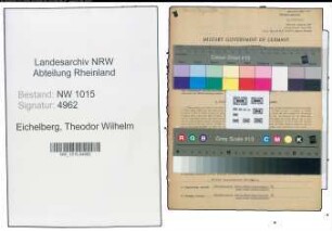 Entnazifizierung Theodor Wilhelm Eichelberg , geb. 03.08.1906 (Kaufmann)