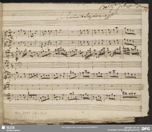 Il mondo alla roversa. Excerpts - Mus.2973-F-36,8 : A, orch, bc