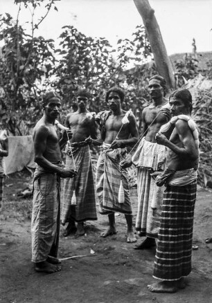 Fadenspinner (Deutsche Indien-Expedition 1926/1929 - 1. Sri Lanka)