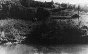 Triebischtal-Garsebach. Furtausgang am Triebischufer gegenüber der Muckmühle