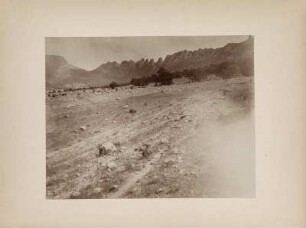 Bewaldeter Berghang : Blick auf einen bewaldeten Berghang und Kamm im Zagros-Gebirge.