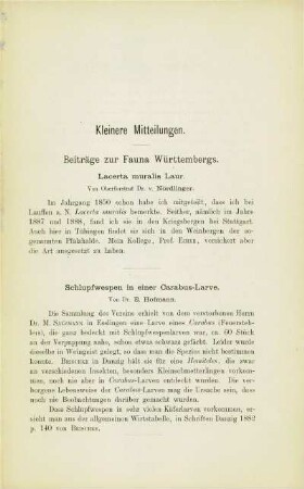 Beiträge zur Fauna Württembergs. Schlupfwespen in einer Carabus-Larve (E. Hofmann)