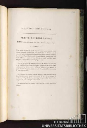 Petite pourprée hérissée. Ribes purpureo-minus, fructu medio, subrotundo, purpureo, hispido.