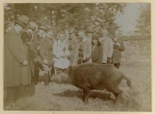 Moritzburg, Mitglieder der Ornithologen-Tagung bei einem Ausflug nach Moritzburg mit einem Wildschwein