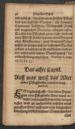 Das achte Capitl.