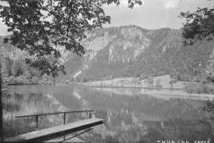Partie am Thunersee
