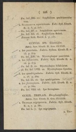 CCXVIII. Ips. Glattkäfer.