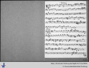 Violone.