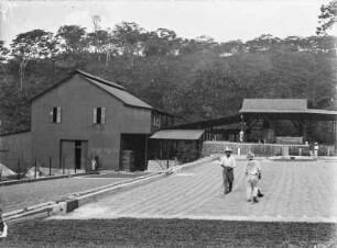 Plantage : Plantagengebäude und Ernteplatz