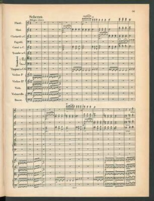 Scherzo. Allegro vivace