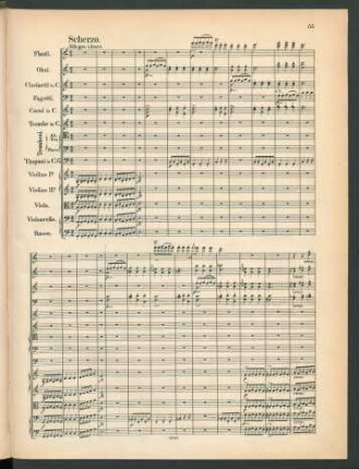 Scherzo. Allegro vivace