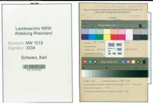 Entnazifizierung Karl Schwarz , geb. 29.04.1890 (Schlosser)