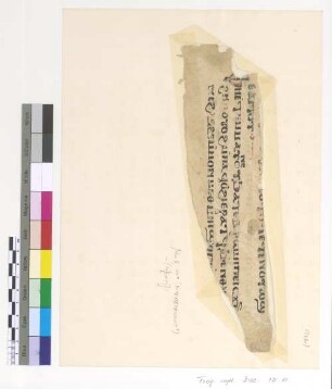 Jh. VIII, 44